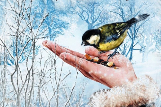 Кавказский заповедник поздравляет победителей Всероссийской эколого-просветительской акции «Покормите птиц»